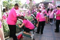 El Paseo Pink Walk