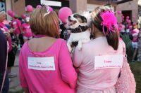 El Paseo Pink Walk